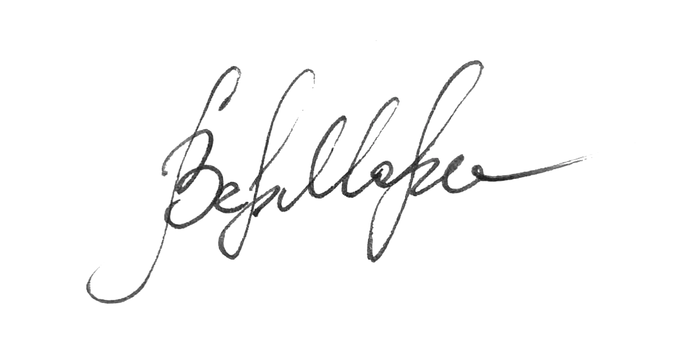 Developer's signature